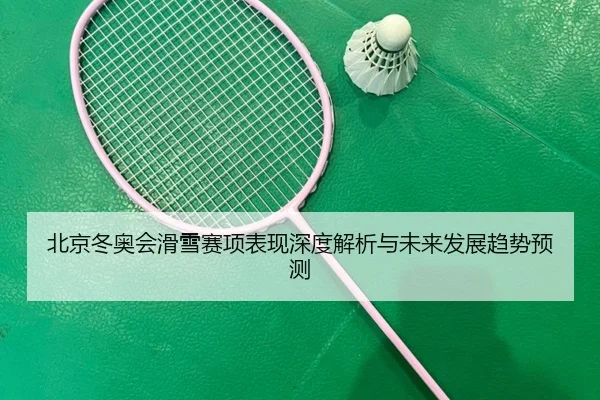 北京冬奥会滑雪赛项表现深度解析与未来发展趋势预测